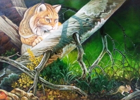 Mencari Mangsa - 60x90cm - Oil on Canvas